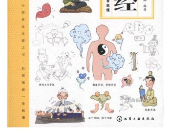 漫画讲透黄帝内经.pdf百度网盘下载