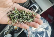 好难受 我的胃和背好难受，为什么我才十几岁就要承受这些