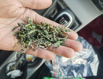 萎缩性胃炎吃摩罗丹有没有效果