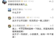 慢性胃炎用夏枯草食疗治愈的方法