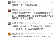 鬼针草治高血压降压的怎么用的偏方