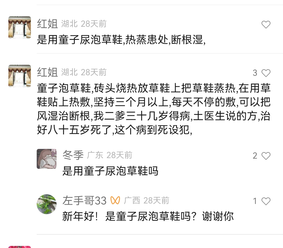 治疗风湿中药偏方