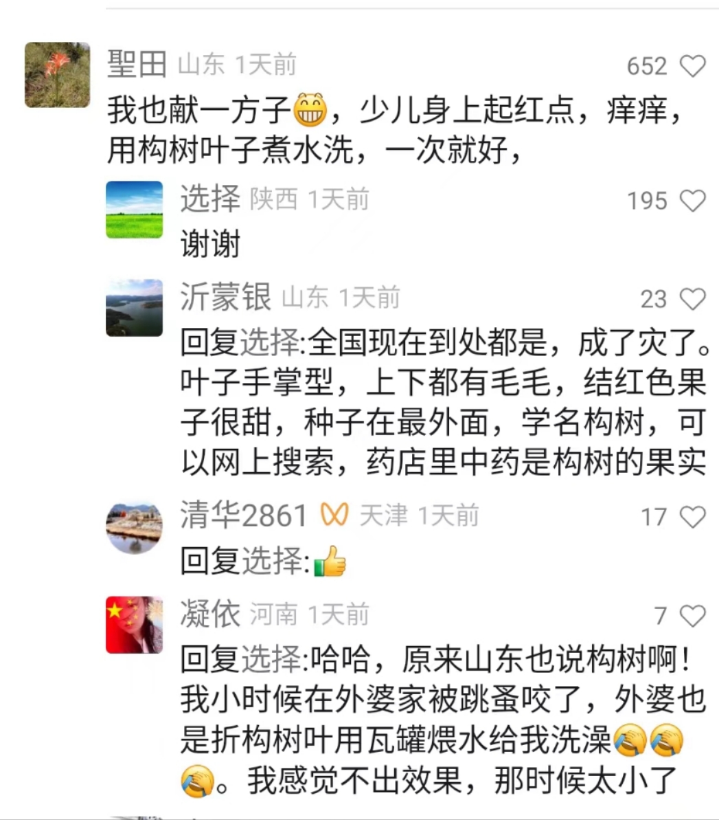 儿童起红点很痒怎么办