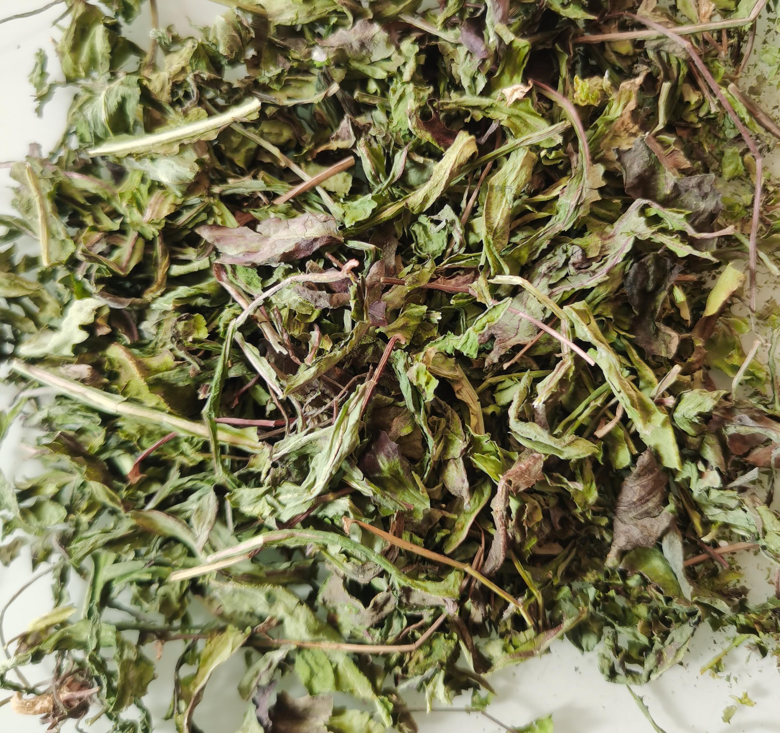 IMG_20260102_121610_edit_359938501579972.jpg 胃病总是反复,别再做表面功夫了! 第2张 IMG_20260102_121610_edit_359938501579972.jpg 胃病总是反复,别再做表面功夫了! 第2张